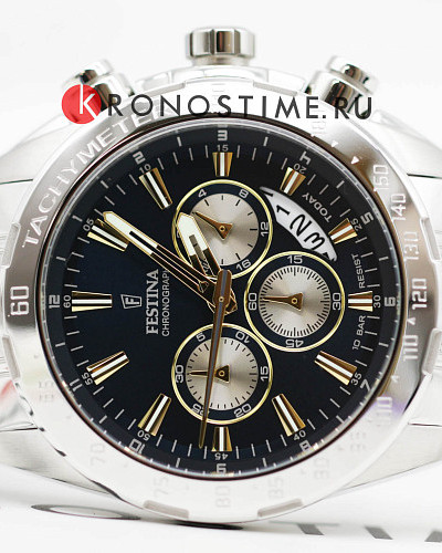 Festina Timeless Chrono F20668/5